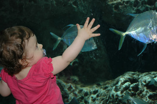 Fishy!