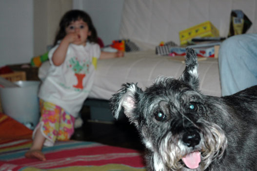 good doggie!!!